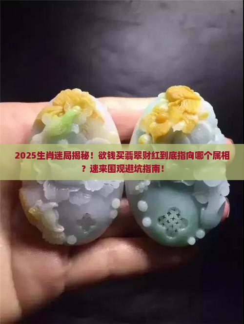 欲钱买翡翠财红是什么生肖