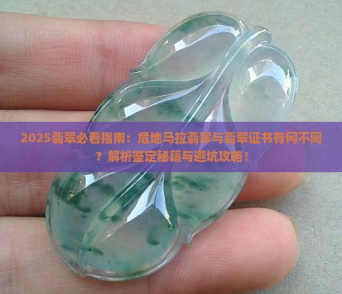 危地马拉翡翠和缅甸翡翠证书一样吗