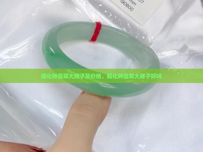 糯化种翡翠大牌子及价格，糯化种翡翠大牌子好吗