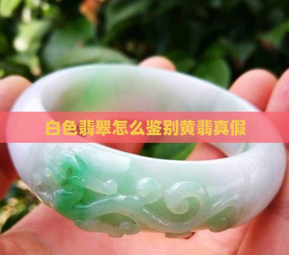 白色翡翠怎么鉴别黄翡真假