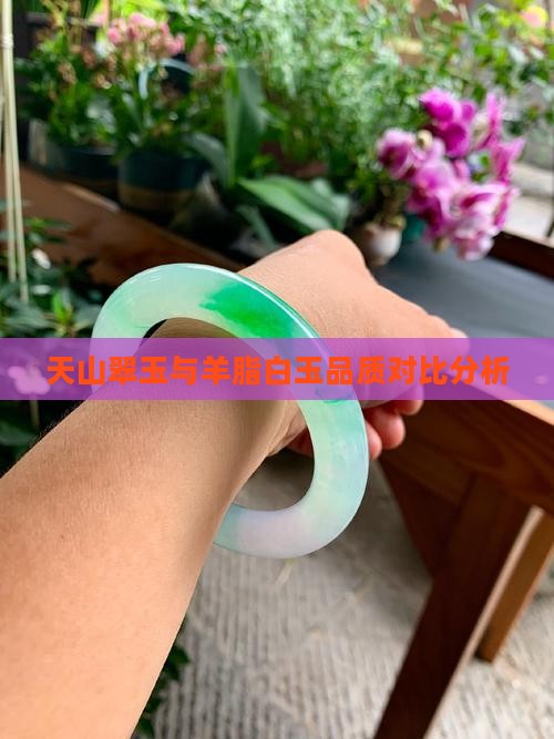 天山翠玉与羊脂白玉品质对比分析