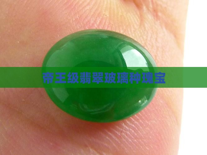 帝王级翡翠玻璃种瑰宝
