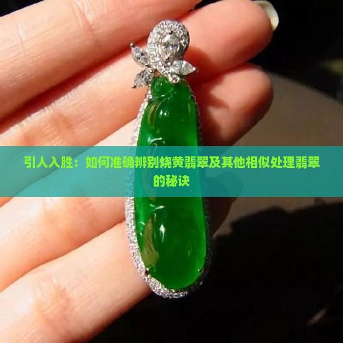 引人入胜：如何准确辨别烧黄翡翠及其他相似处理翡翠的秘诀