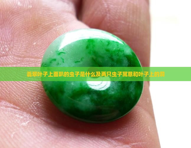 翡翠叶子上面趴的虫子是什么及两只虫子寓意和叶子上的洞
