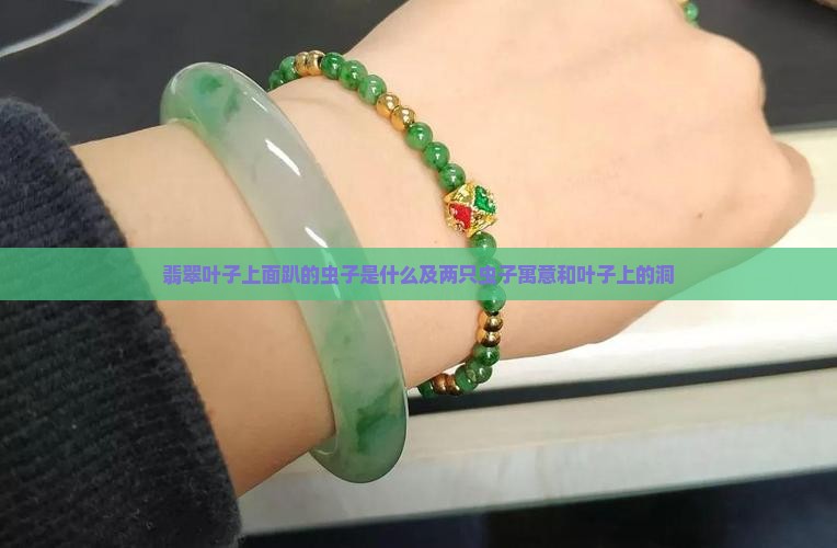 翡翠叶子上面趴的虫子是什么及两只虫子寓意和叶子上的洞