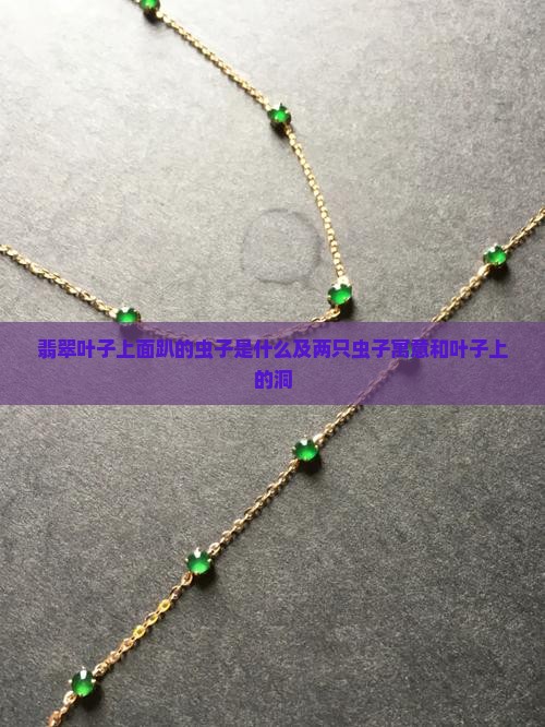 翡翠叶子上面趴的虫子是什么及两只虫子寓意和叶子上的洞