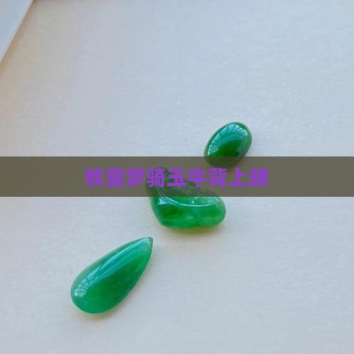 牧童梦骑玉牛背上蝉