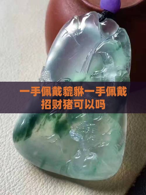 一手佩戴貔貅一手佩戴招财猪可以吗
