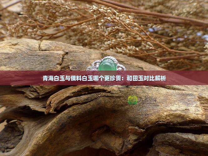 青海白玉与俄料白玉哪个更珍贵：和田玉对比解析