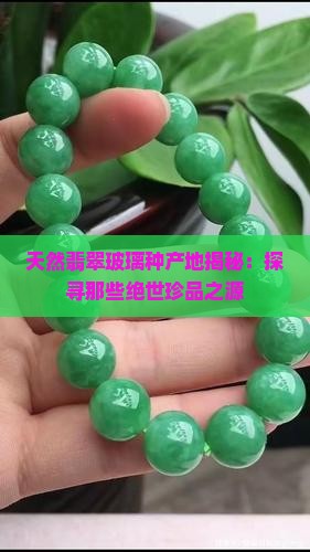 天然翡翠玻璃种产地揭秘：探寻那些绝世珍品之源