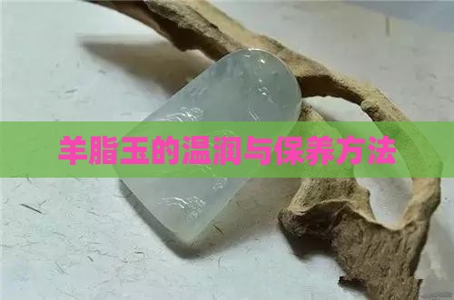 羊脂玉的温润与保养方法