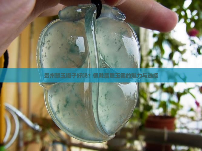 贵州翠玉镯子好吗？佩戴翡翠玉镯的魅力与选择