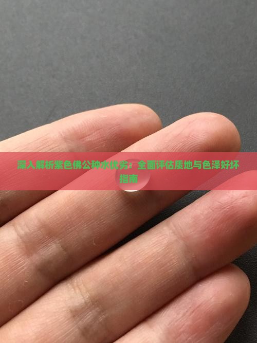 深入解析紫色佛公种水优劣：全面评估质地与色泽好坏指南