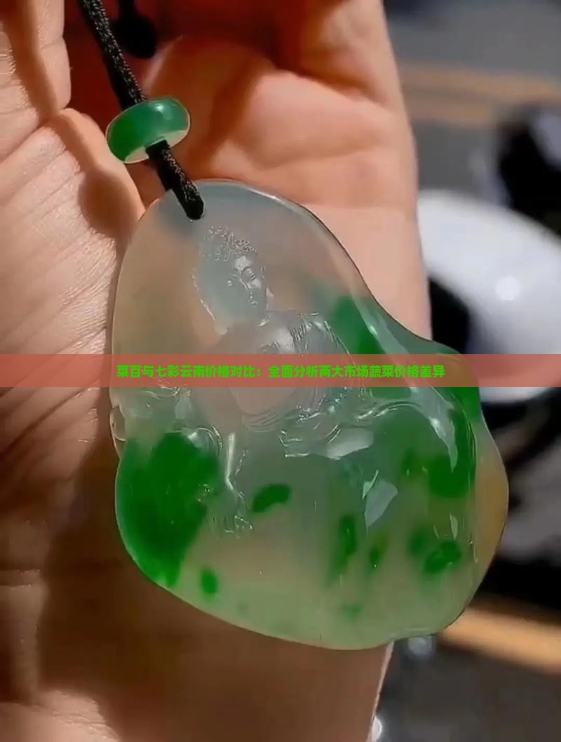 菜百与七彩云南价格对比：全面分析两大市场蔬菜价格差异