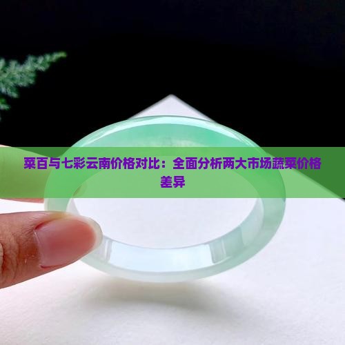 菜百与七彩云南价格对比：全面分析两大市场蔬菜价格差异