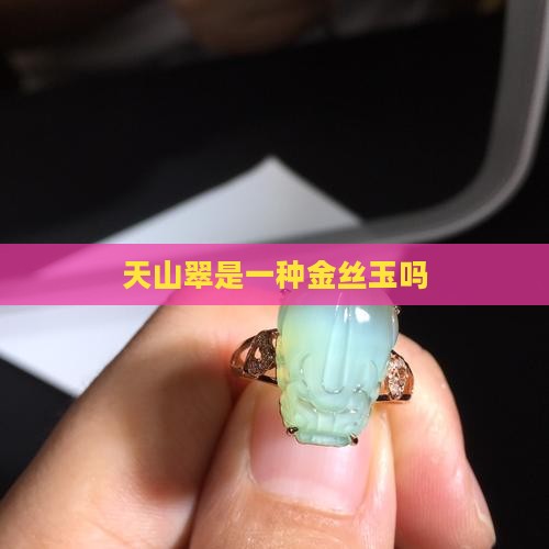 天山翠是不是金丝玉