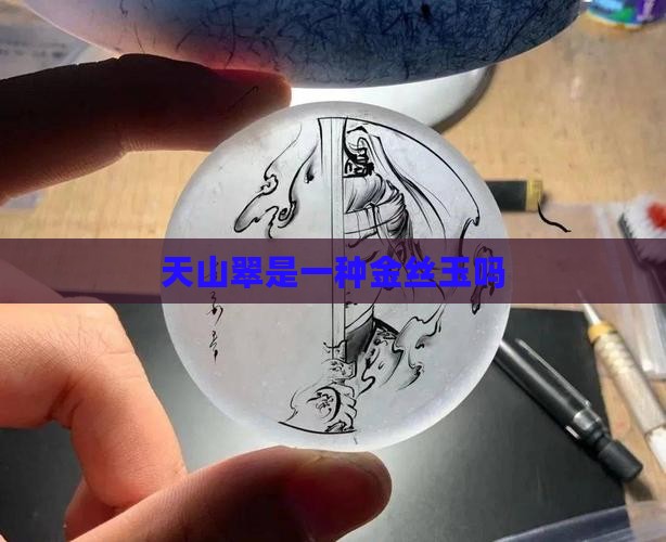 天山翠是不是金丝玉