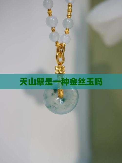 天山翠是不是金丝玉