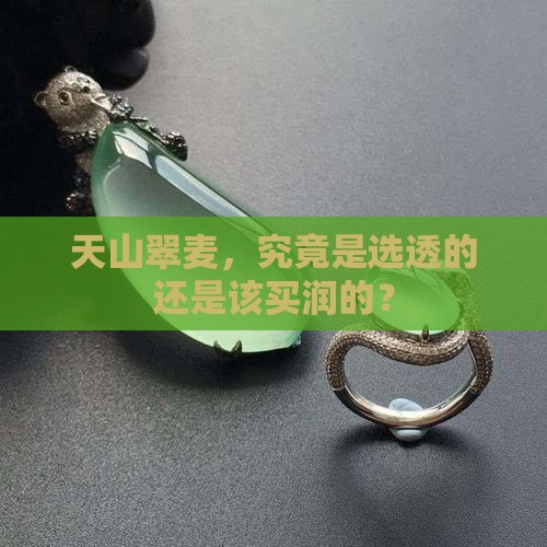 天山翠麦透还是买润