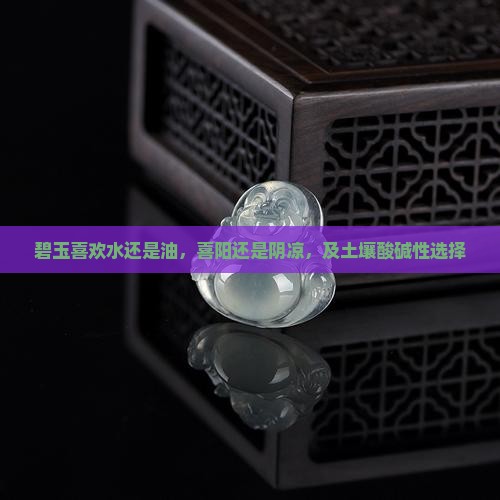 碧玉喜欢水还是油