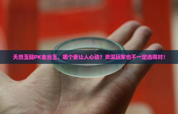 天然玉髓与金丝玉哪个好