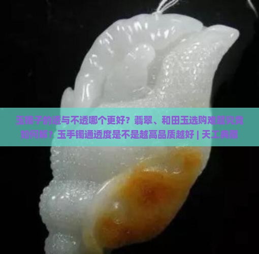 玉镯子透的好不透的好
