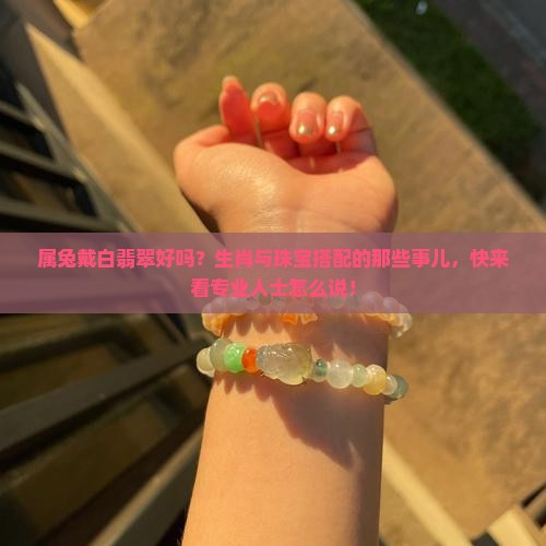 属兔戴白翡翠好吗