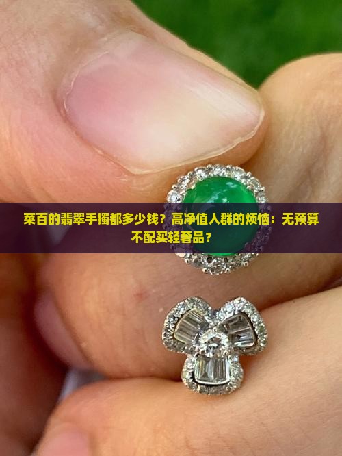 菜百的翡翠手镯都多少钱