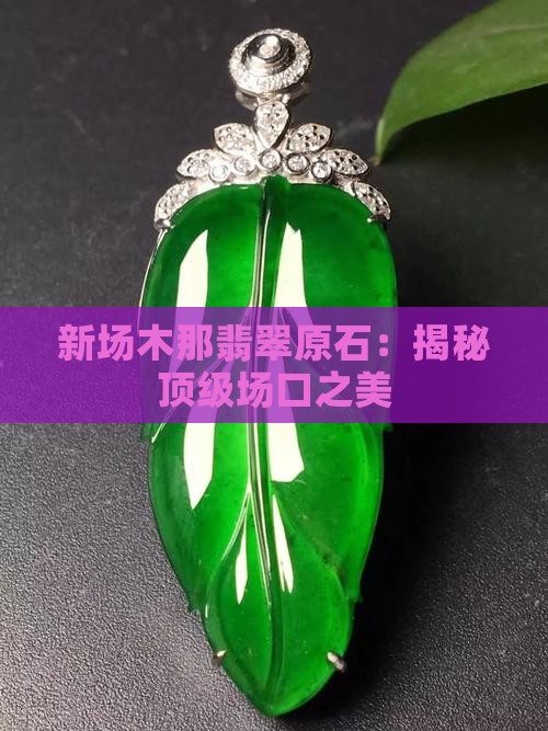 新场木那翡翠原石