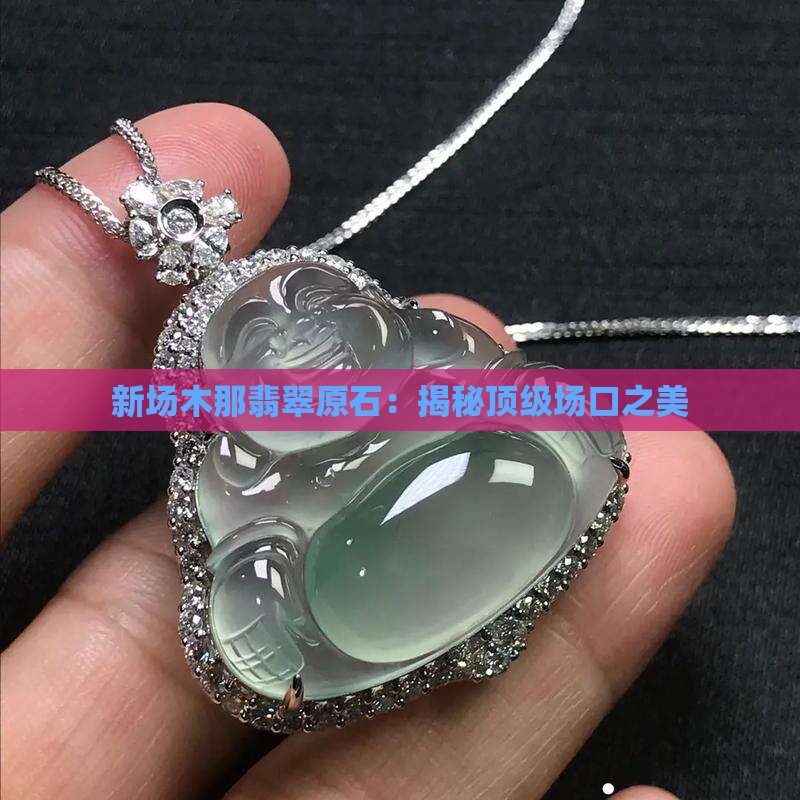 新场木那翡翠原石
