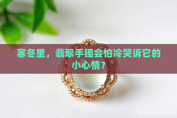 翡翠手镯怕冻吗