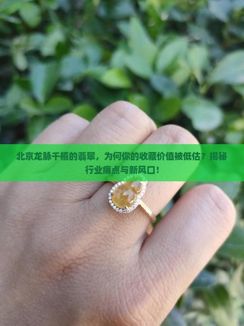 北京龙脉千禧的翡翠