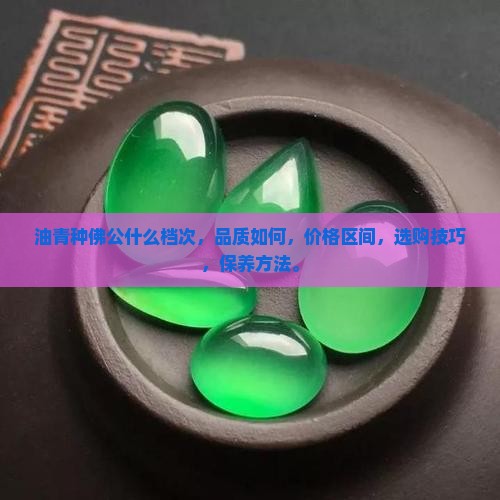 油青种佛公什么档次
