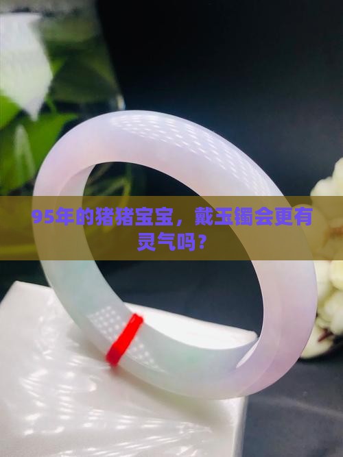 95年猪猪适合佩戴玉镯吗