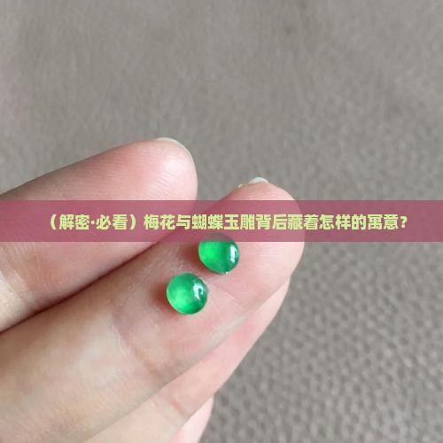 梅花和蝴蝶玉雕的寓意是什么
