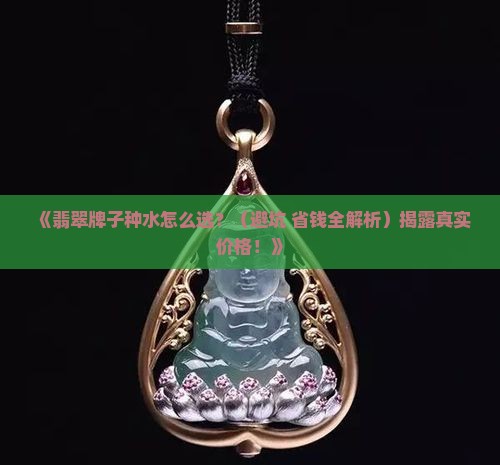 翡翠牌子种水价格多少