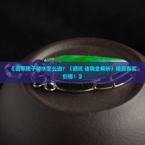 翡翠牌子种水价格多少