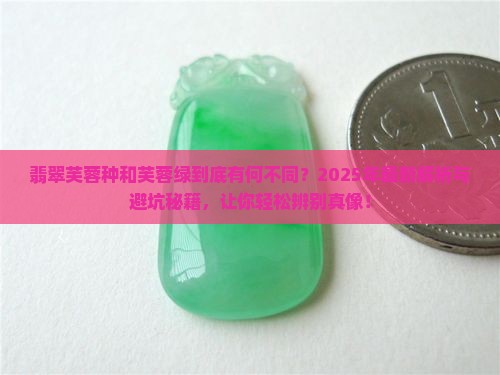 翡翠芙蓉种和芙蓉绿有何不同