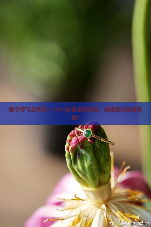 强子帮买翡翠