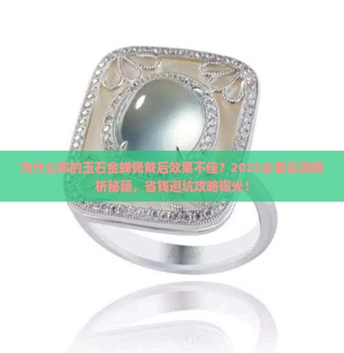 玉石金蝉佩戴注意事项