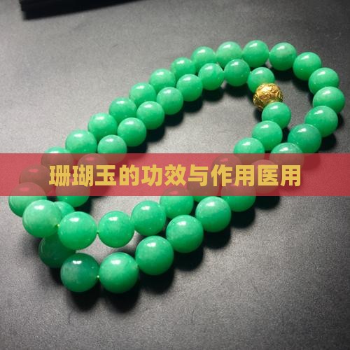 珊瑚玉的功效与作用医用
