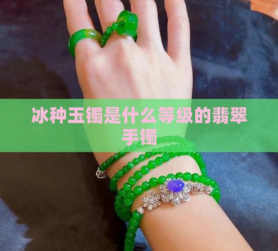 冰种玉镯是什么等级
