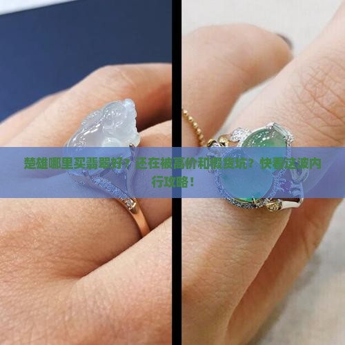 楚雄哪里买翡翠好