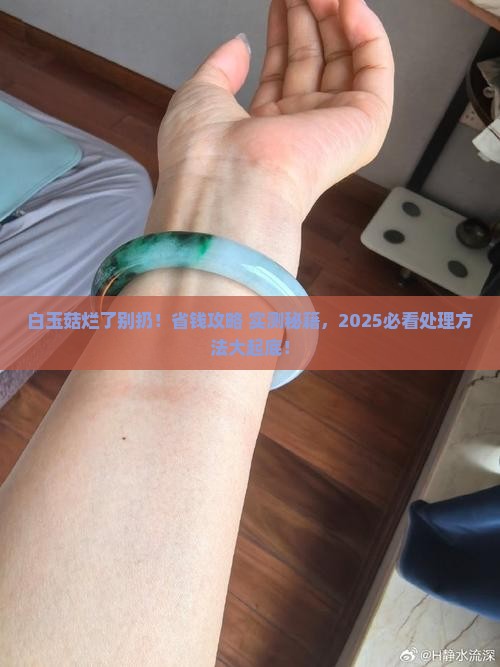 白玉菇烂掉的怎么处理