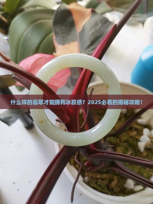 什么样的翡翠可以达到冰胶感