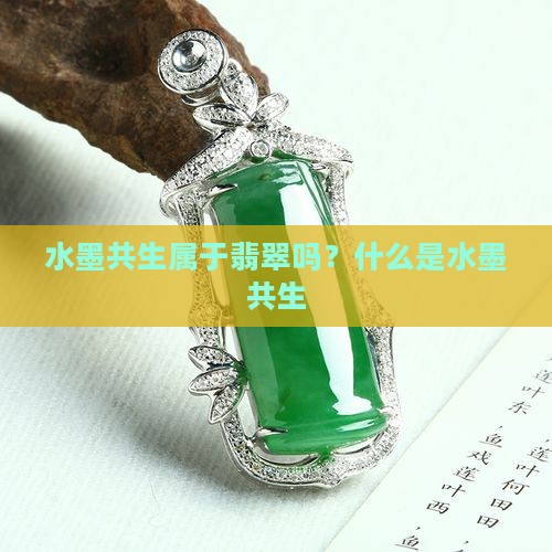水墨共生属于翡翠吗？什么是水墨共生
