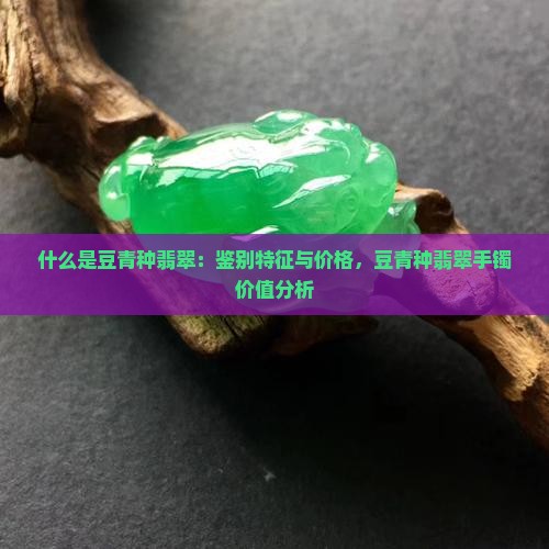 什么是豆青种翡翠：鉴别特征与价格，豆青种翡翠手镯价值分析