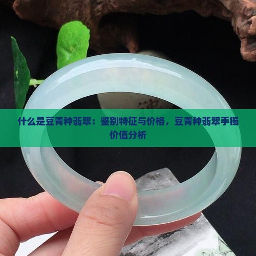 什么是豆青种翡翠：鉴别特征与价格，豆青种翡翠手镯价值分析