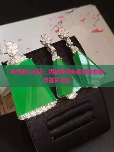 老儒匠心独运：揭秘种满色翡翠的收藏与鉴赏之道