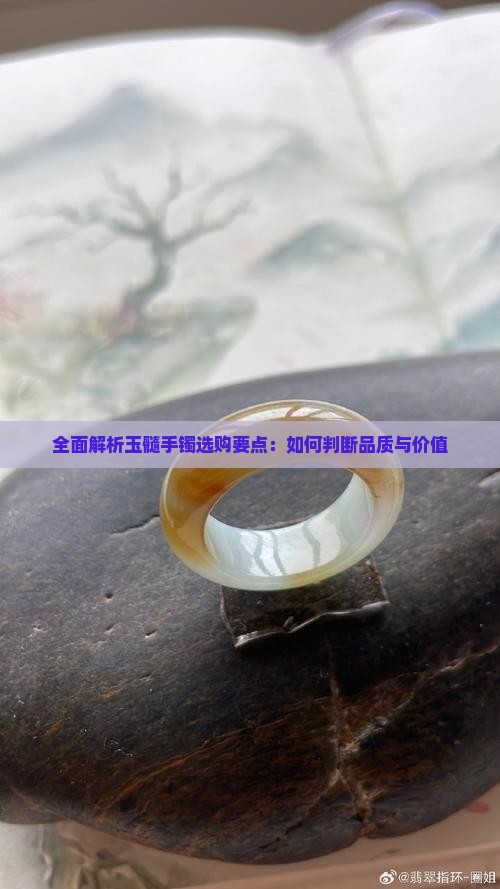 全面解析玉髓手镯选购要点：如何判断品质与价值